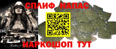 PSILOCYBIN Владикавказ