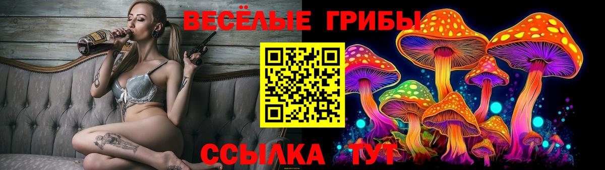 Псилоцибиновые грибы мицелий Донецк